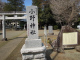 DSCN6241