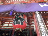 DSCN6379