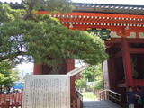 DSCN6387