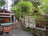 DSCN6407