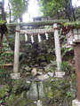 DSCN6408