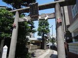 DSCN6317
