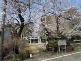 DSCN6248