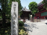 DSCN6383