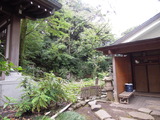 DSCN6409