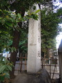 DSCN6290