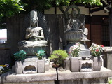DSCN6312