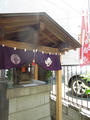 DSCN6301