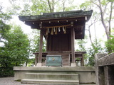 DSCN6410