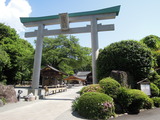 DSCN6295