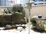 DSCN6304
