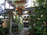DSCN6319