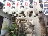 DSCN6335