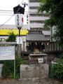 DSCN6344