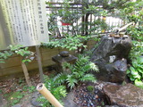 DSCN6318