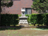 DSCN6397