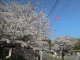 DSCN6240