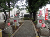 DSCN6364