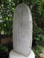 DSCN6422