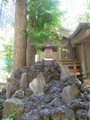 DSCN6320