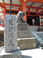 DSCN6300