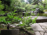 DSCN6421