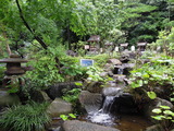 DSCN6375