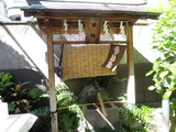DSCN6285