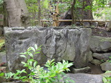 DSCN6423