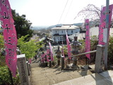 DSCN6234