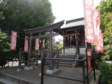 DSCN6371