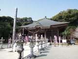DSCN6233