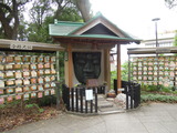 DSCN6451