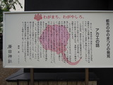 DSCN6341