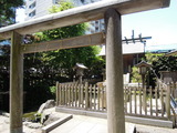 DSCN6315