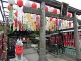 DSCN6434
