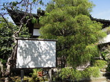 DSCN6271