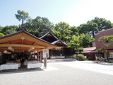 DSCN6293