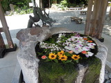 DSCN6294