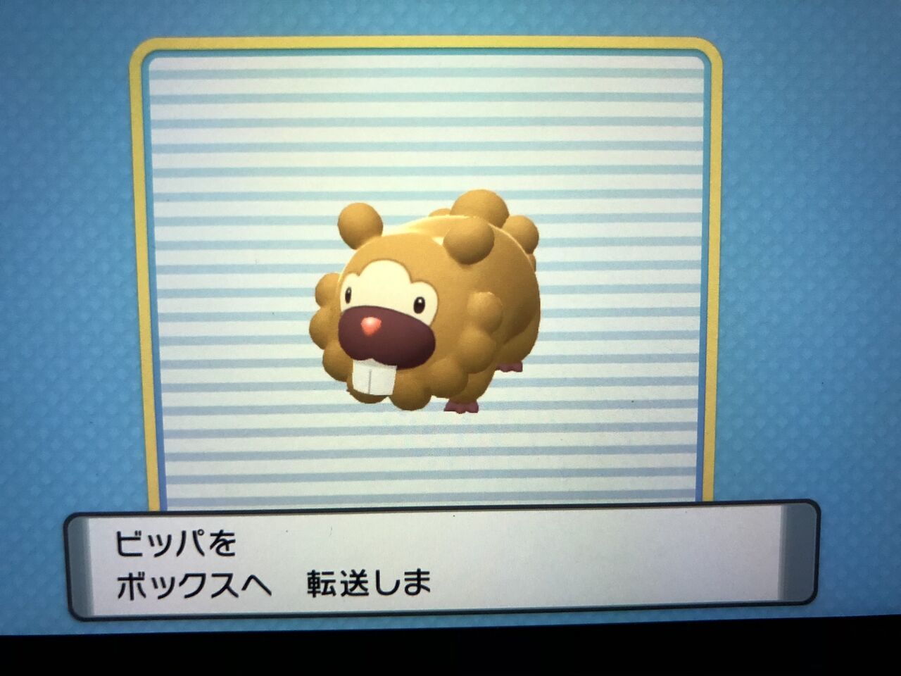 ポケモンbdsp 9 色違いビッパ ポケトレ こよいのブログ