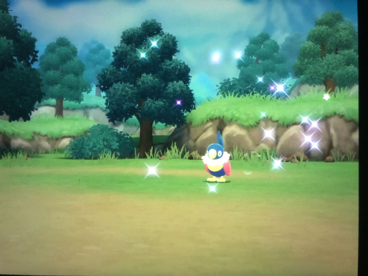 ポケモンbdsp 14 色違いペラップ ポケトレ こよいのブログ ポケモンbdsp 14 色違いペラップ ポケトレ こよいのブログ