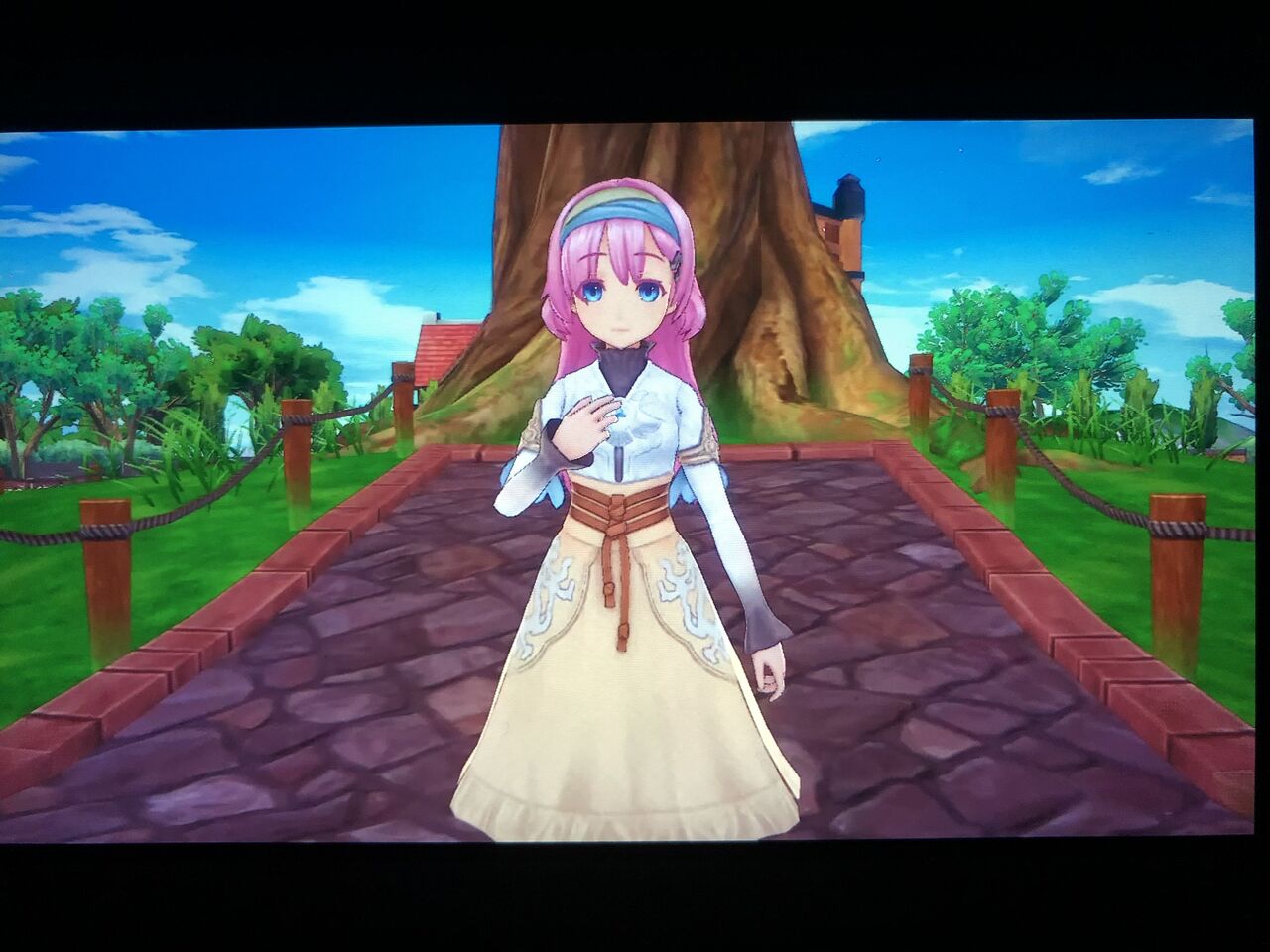 ルーンファクトリー5 19 プリシラと結婚しました ネタバレ注意 こよいのブログ ルーンファクトリー5 19 プリシラと結婚しました ネタバレ注意 こよいのブログ