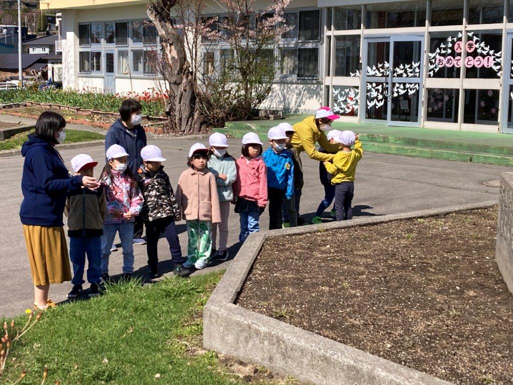 1・3年生 校舎周りで生物観察 : とうや小学校 大好き！