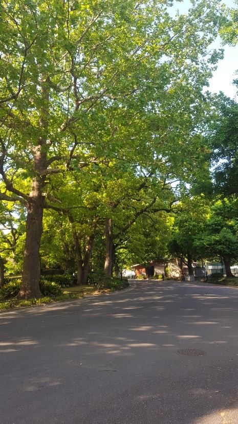 20180501_072247