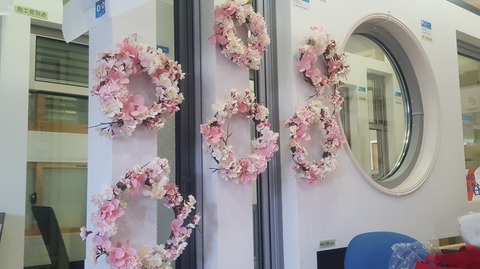 jpg桜