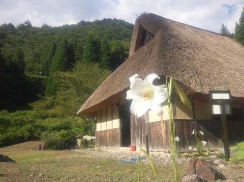村