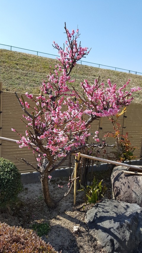 20190226_130759