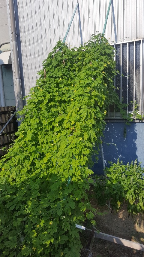 20170817_161935