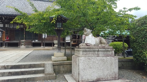 20160703_125653