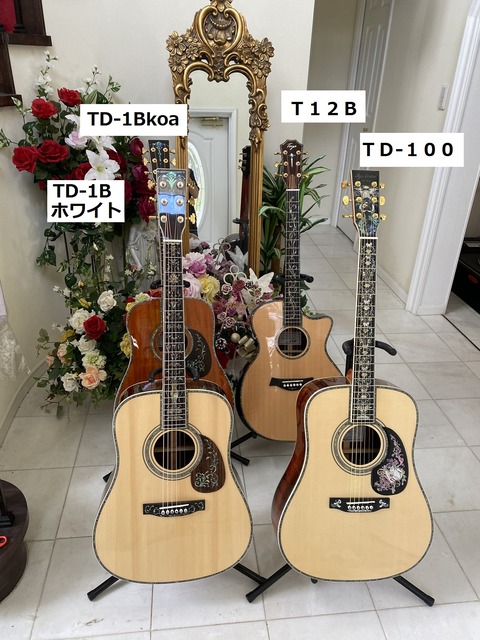 ハードケースセット価格 toyaギターカスタムオーダーメイド(d45